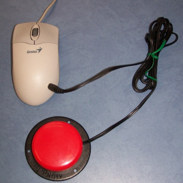 Switch adapted computer mouse